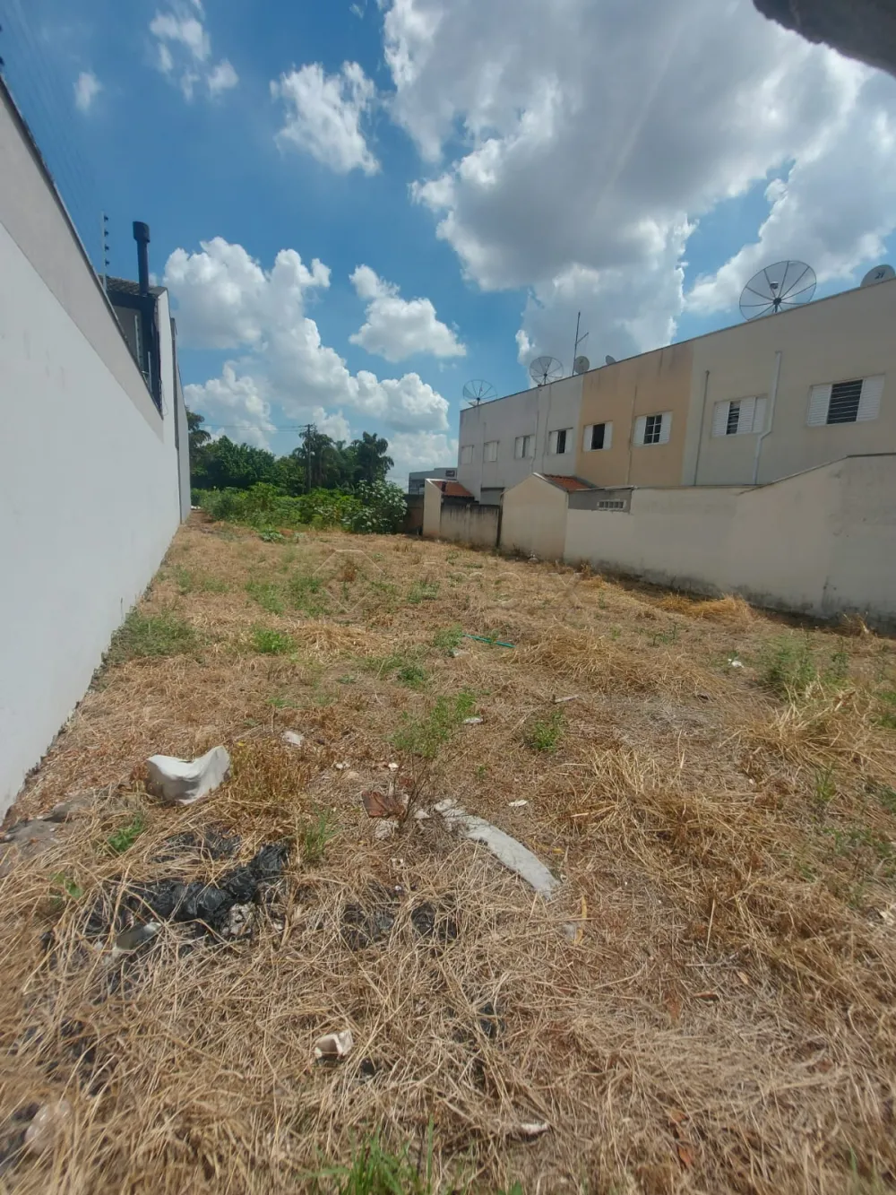 Alugar Terreno / Comercial em Americana R$ 2.850,00 - Foto 3