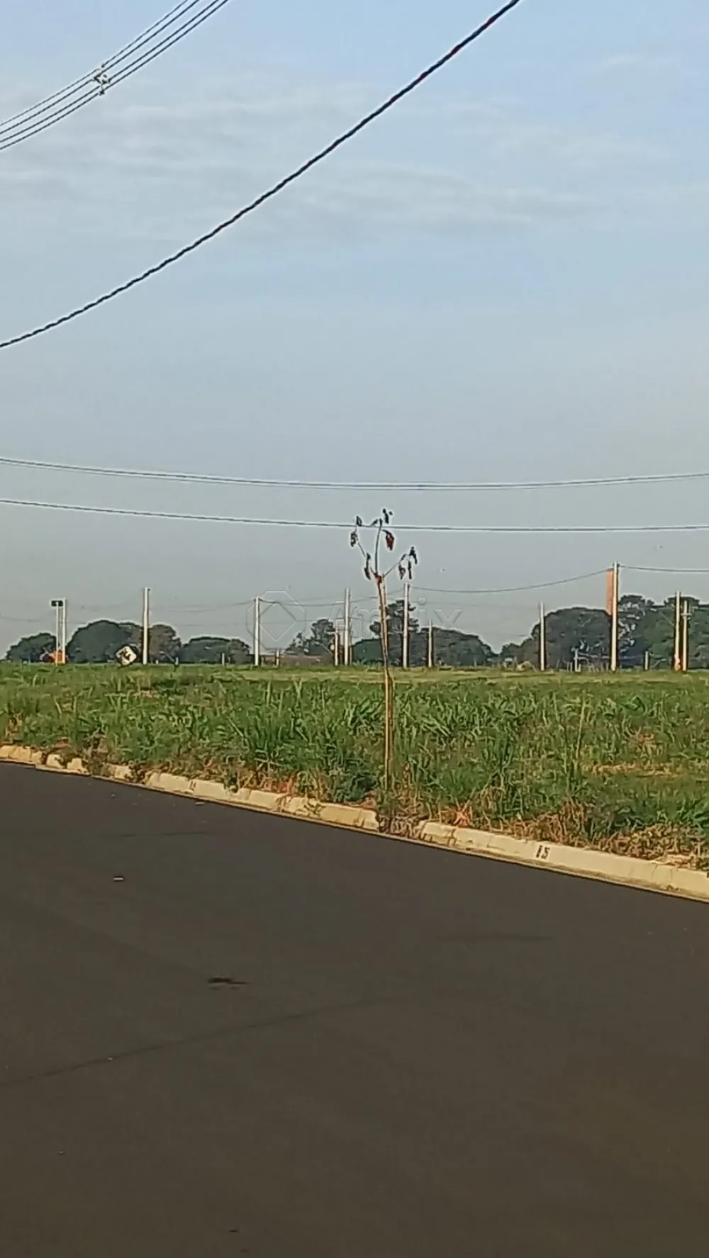 Comprar Terreno / Residencial em Santa B&aacute;rbara D`Oeste R$ 335.000,00 - Foto 1