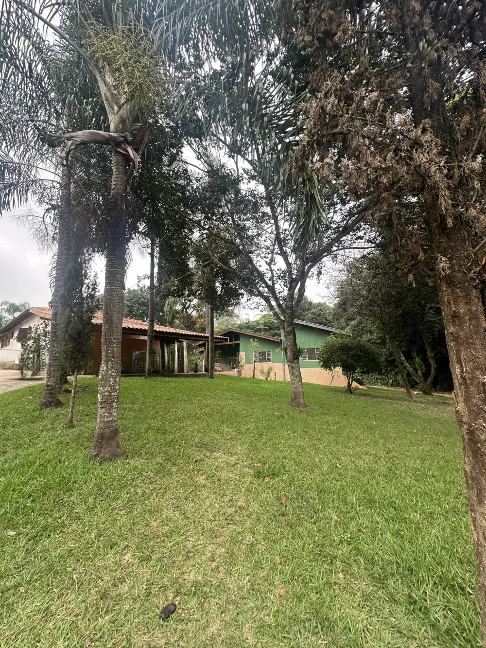 Comprar Rural / Ch&aacute;cara em Nova Odessa R$ 2.000.000,00 - Foto 2