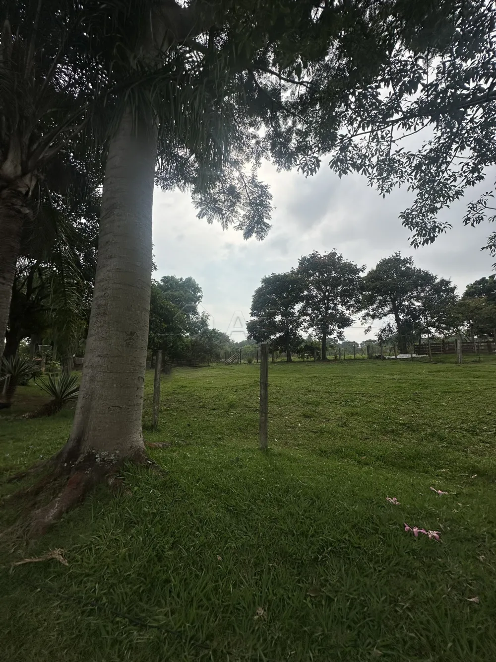 Comprar Rural / Ch&aacute;cara em Nova Odessa R$ 2.000.000,00 - Foto 12