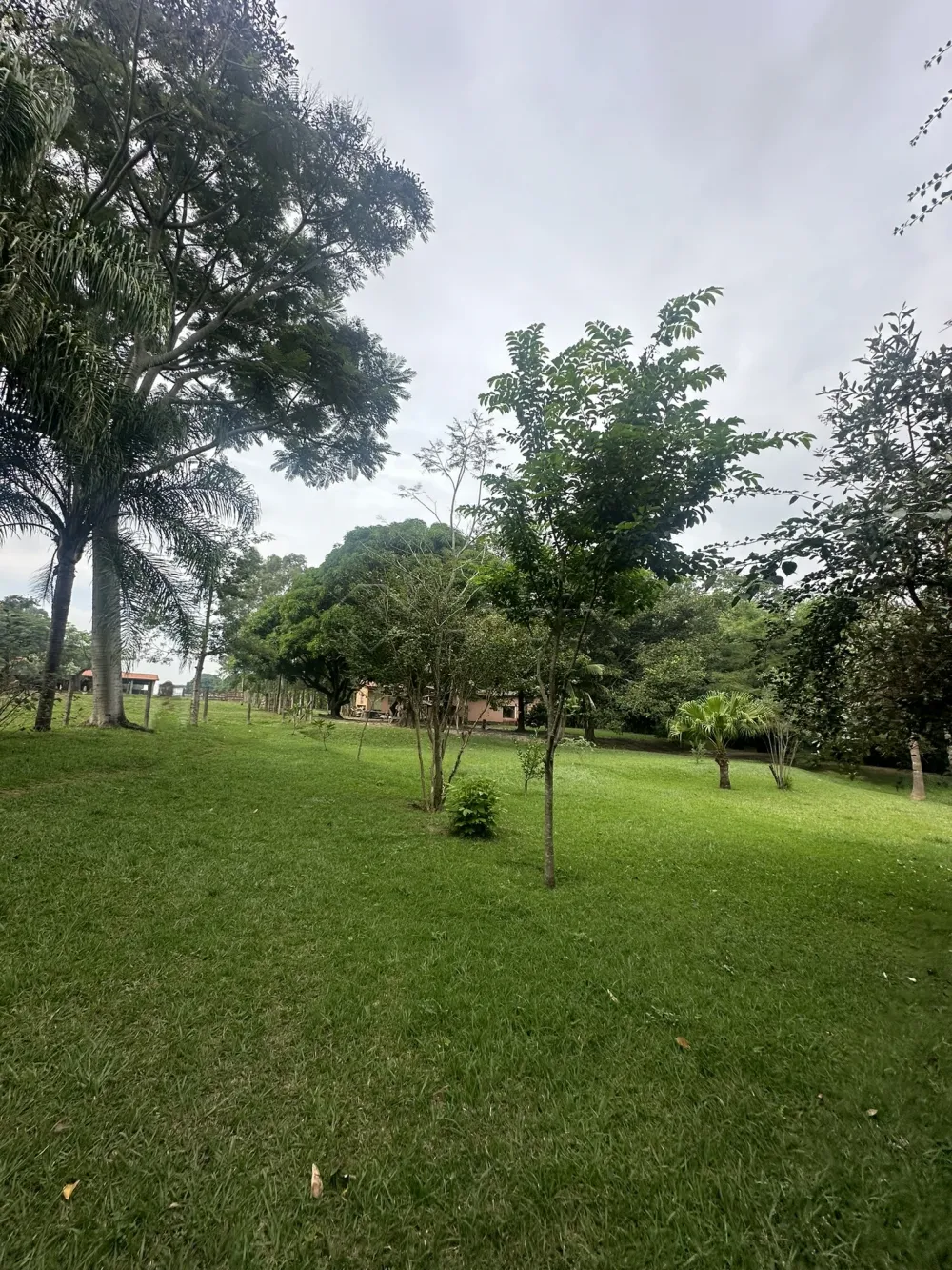 Comprar Rural / Ch&aacute;cara em Nova Odessa R$ 2.000.000,00 - Foto 13