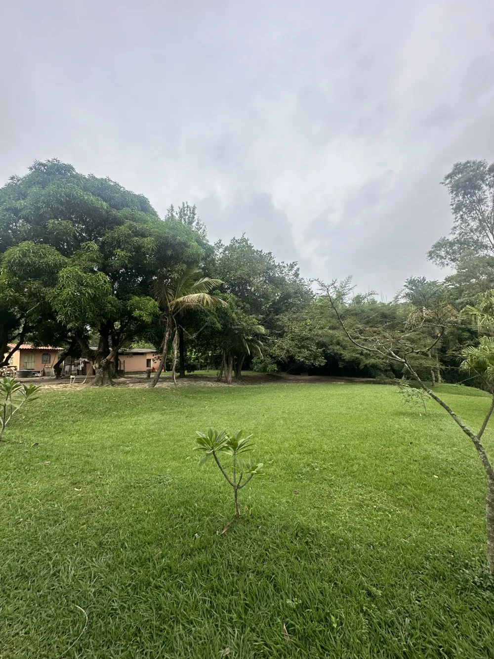 Comprar Rural / Ch&aacute;cara em Nova Odessa R$ 2.000.000,00 - Foto 14