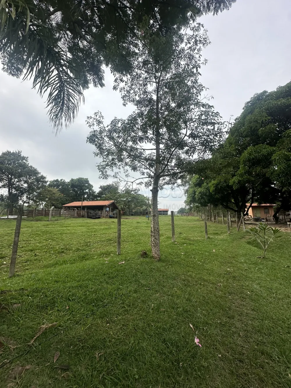 Comprar Rural / Ch&aacute;cara em Nova Odessa R$ 2.000.000,00 - Foto 15