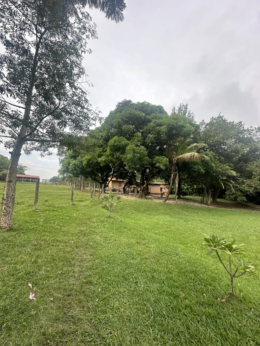 Comprar Rural / Ch&aacute;cara em Nova Odessa R$ 2.000.000,00 - Foto 17