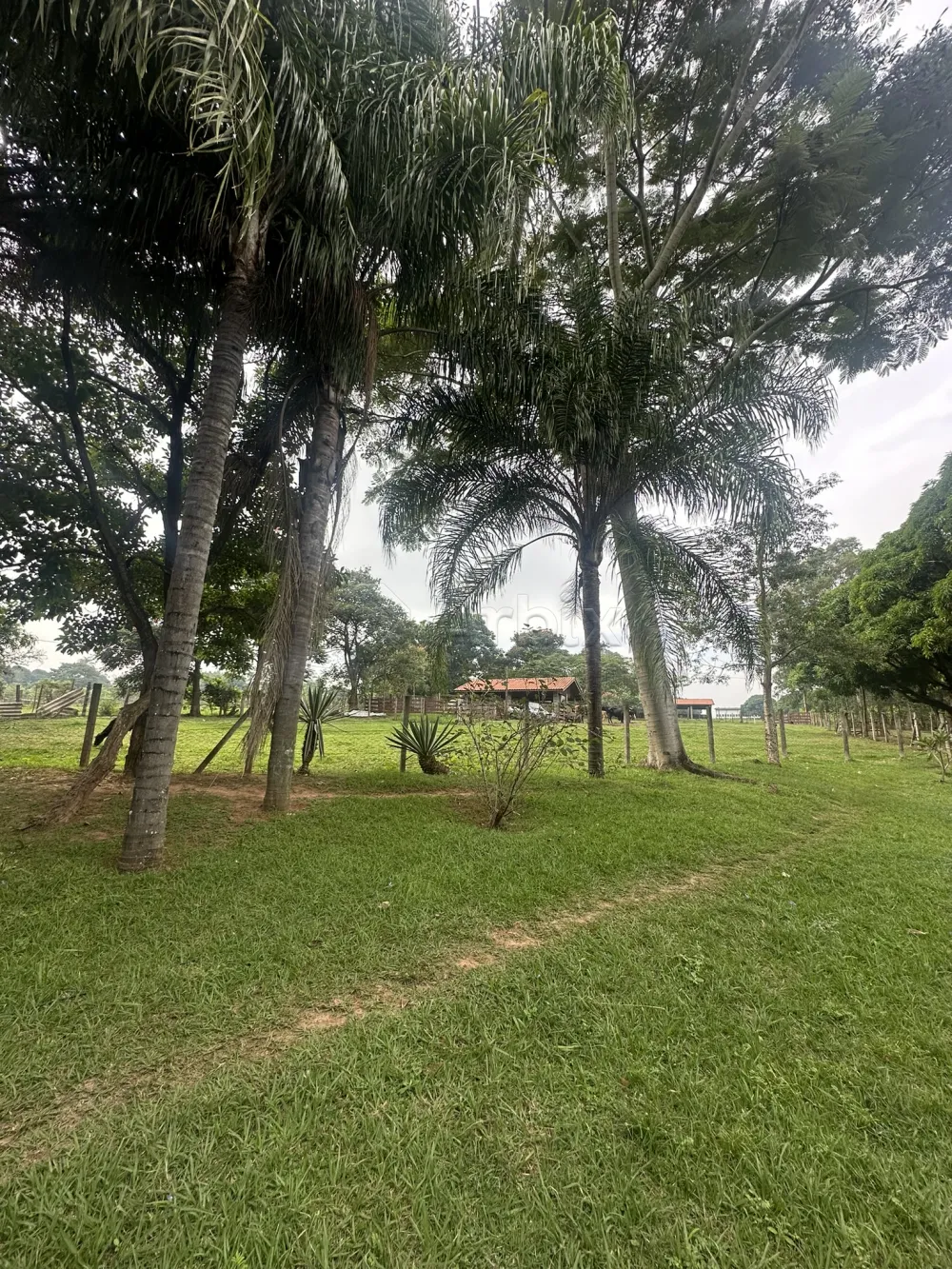 Comprar Rural / Ch&aacute;cara em Nova Odessa R$ 2.000.000,00 - Foto 18