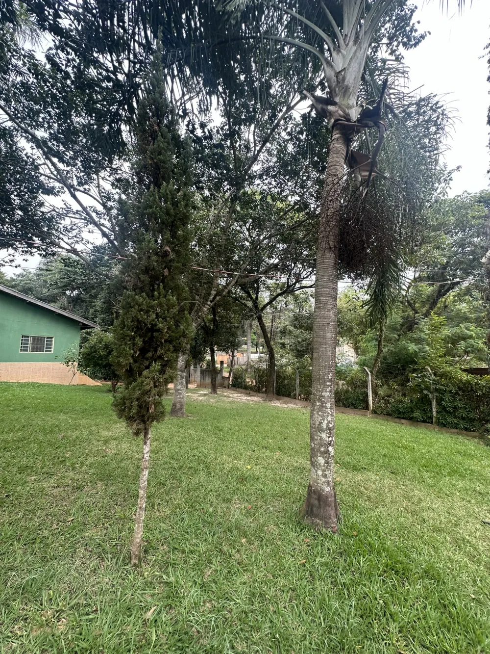 Comprar Rural / Ch&aacute;cara em Nova Odessa R$ 2.000.000,00 - Foto 19