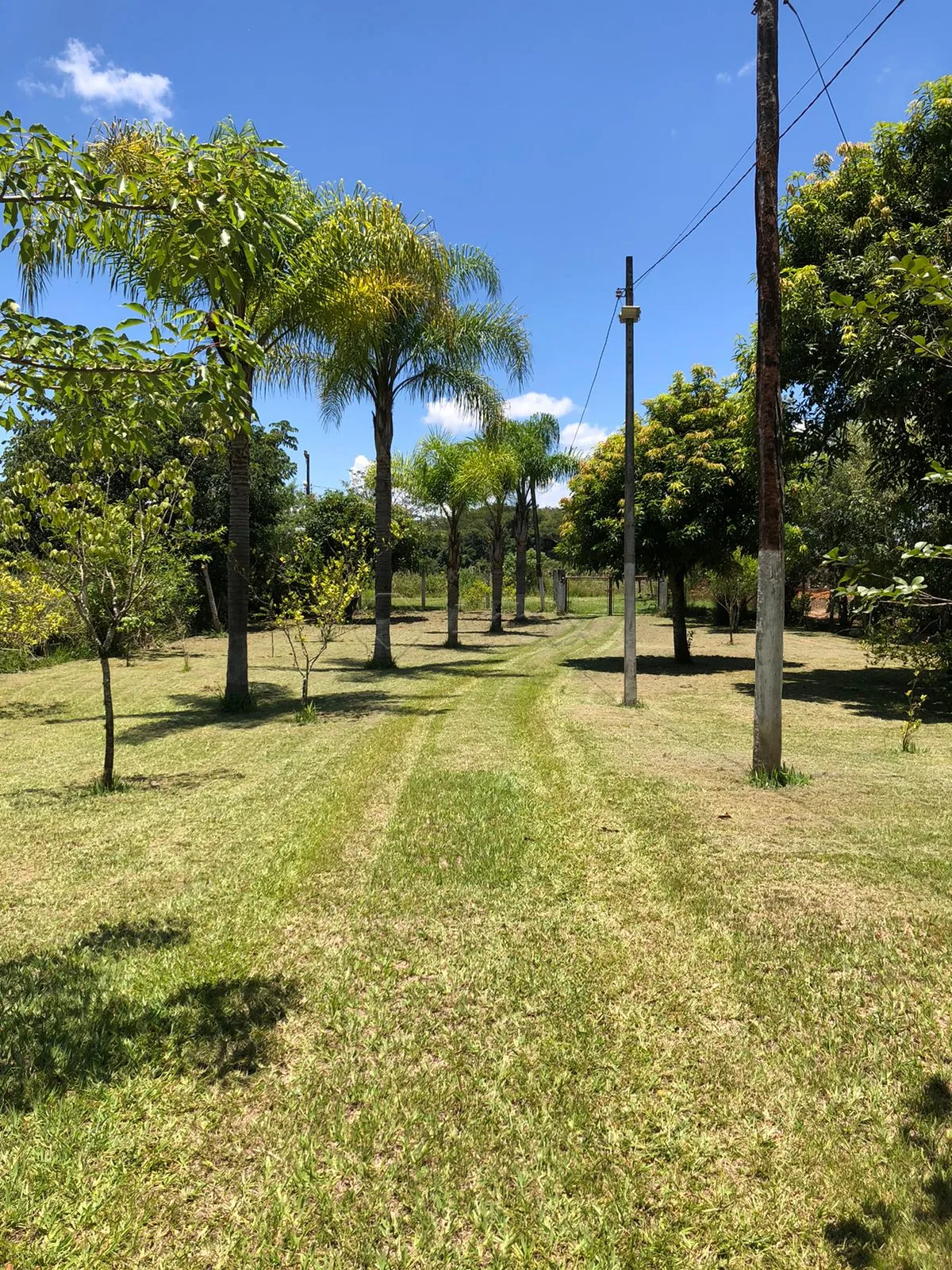 Comprar Casa / Ch&aacute;cara em Pirassununga R$ 370.000,00 - Foto 15