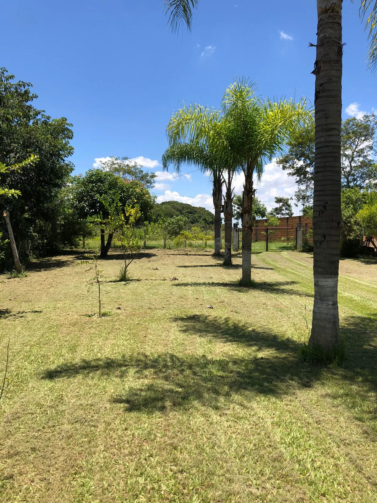 Comprar Casa / Ch&aacute;cara em Pirassununga R$ 370.000,00 - Foto 14
