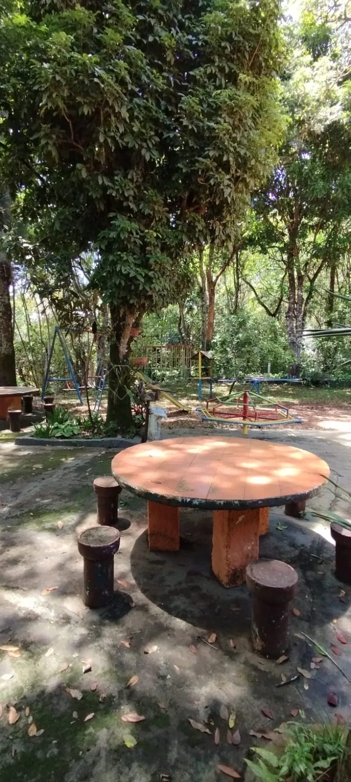 Comprar Casa / Ch&aacute;cara em Pirassununga R$ 370.000,00 - Foto 12