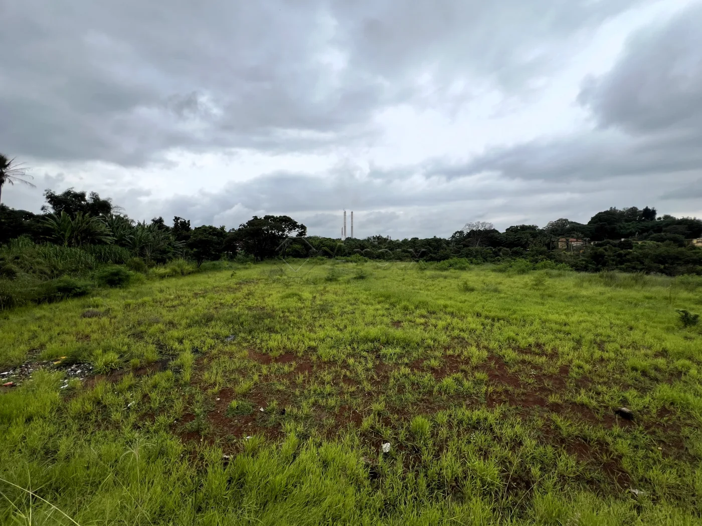 Comprar Terreno / &Aacute;rea em Americana R$ 15.000.000,00 - Foto 4