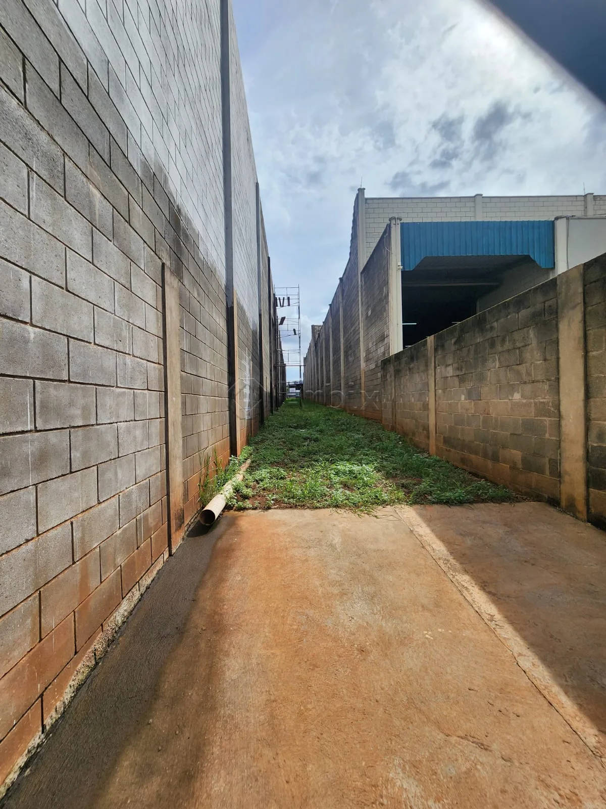 Alugar Comercial / Sal&atilde;o Industrial em Americana R$ 15.000,00 - Foto 3