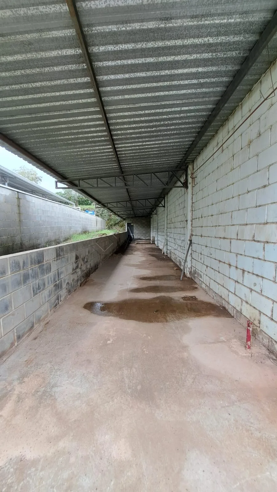 Alugar Comercial / Sal&atilde;o Comercial em Limeira R$ 6.000,00 - Foto 15