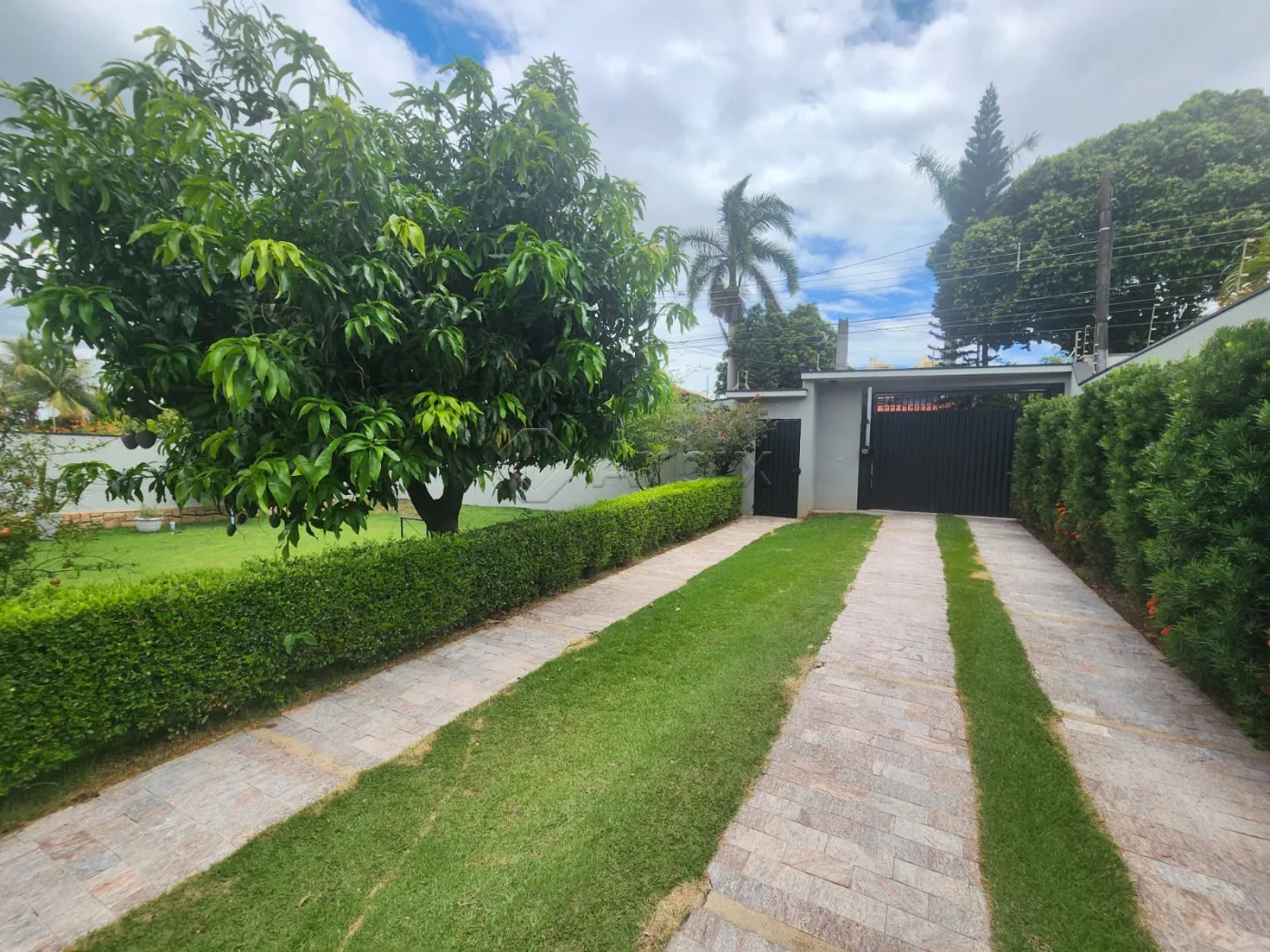 Alugar Rural / Ch&aacute;cara em Americana R$ 8.500,00 - Foto 4