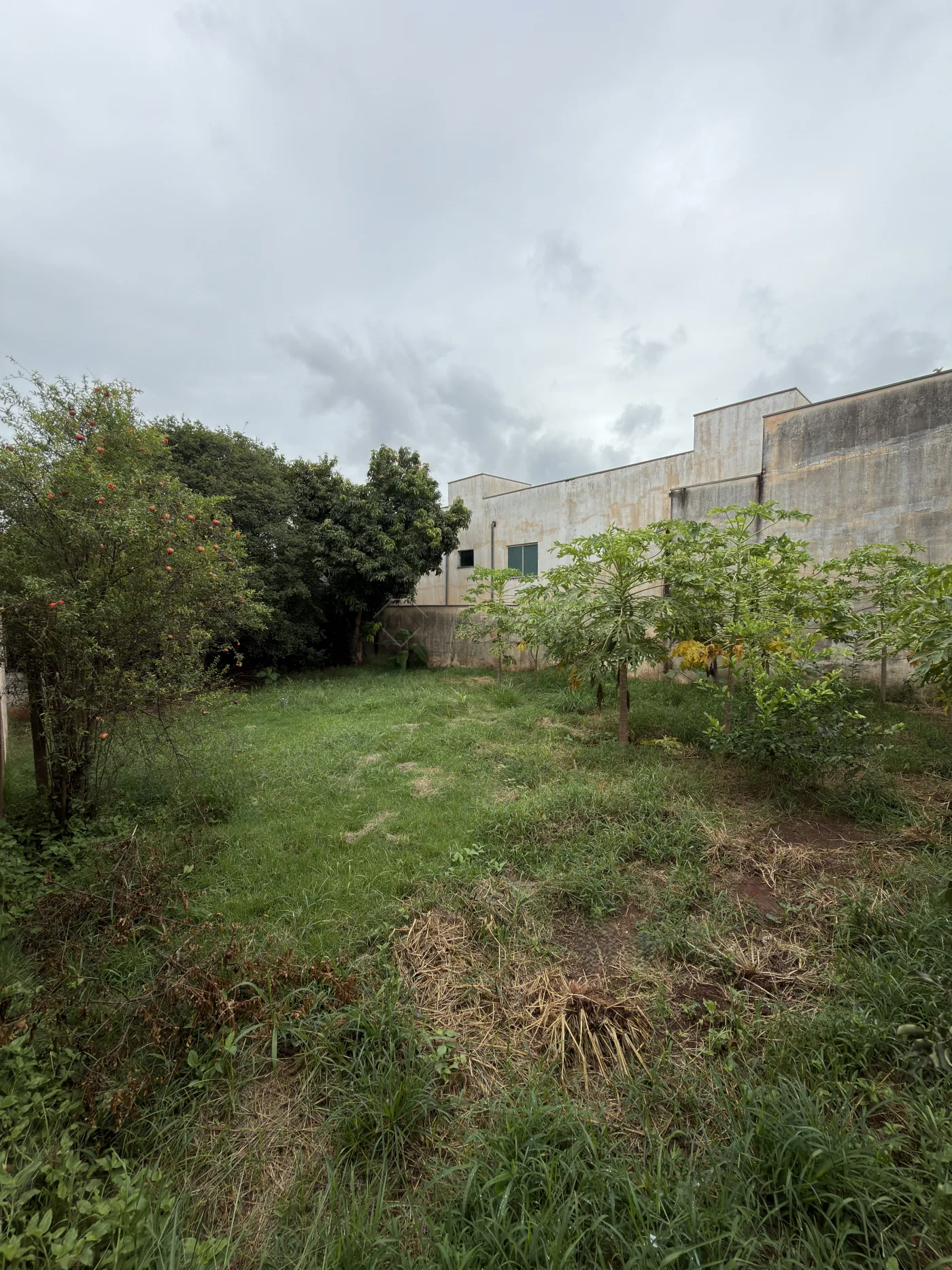 Comprar Terreno / Residencial em Americana R$ 530.000,00 - Foto 1