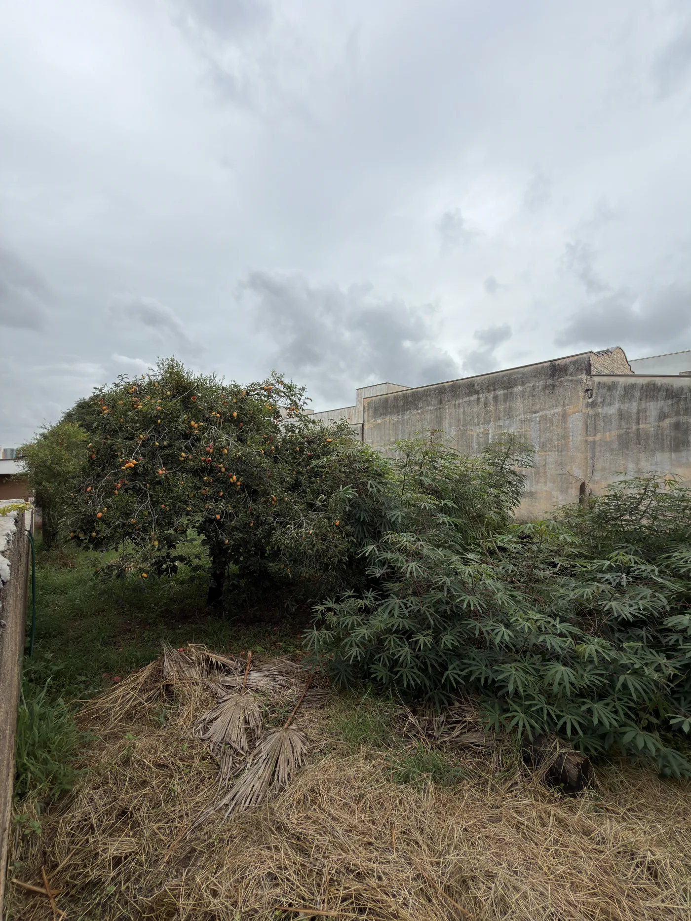 Comprar Terreno / Residencial em Americana R$ 530.000,00 - Foto 2