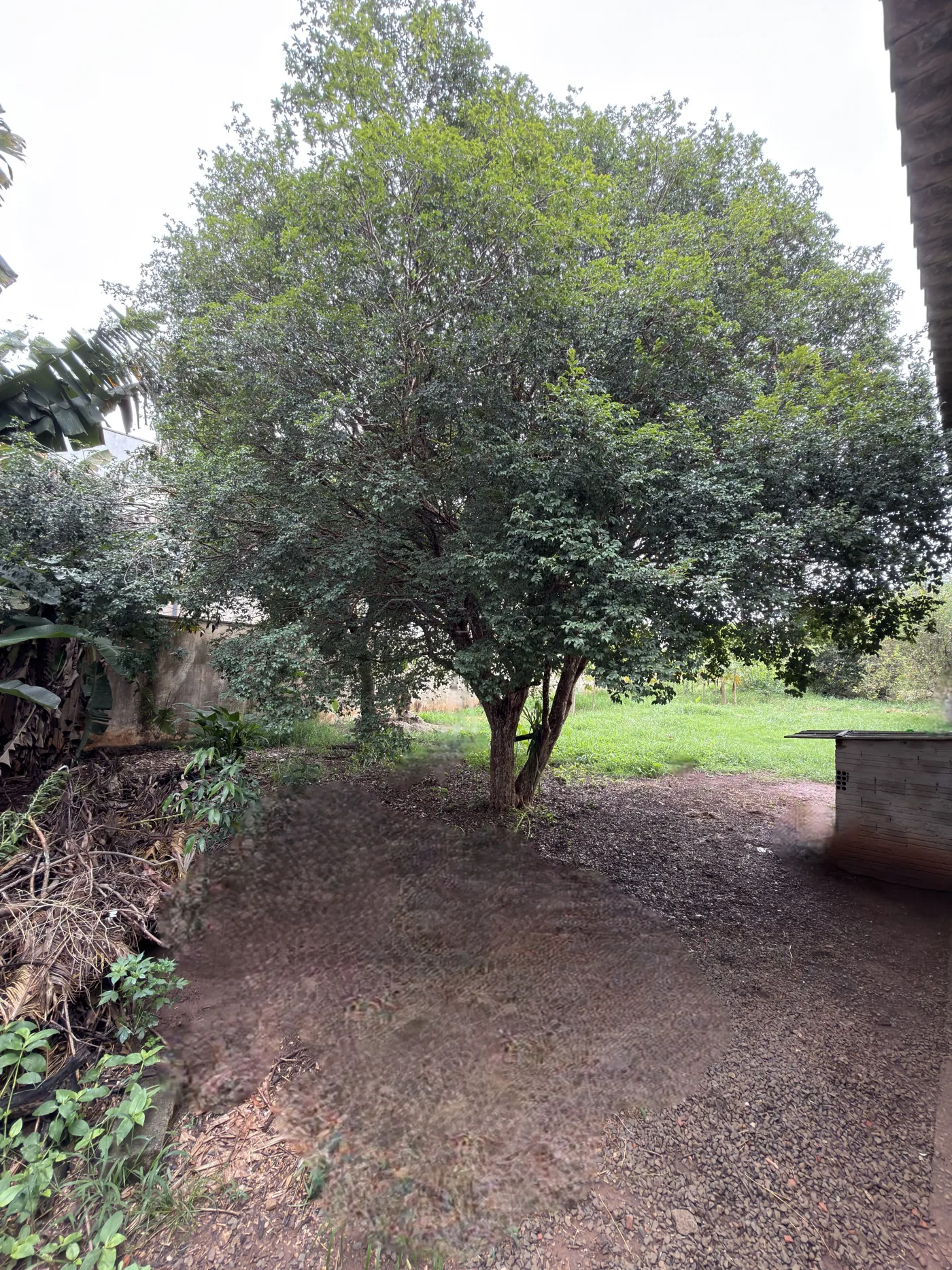 Comprar Terreno / Residencial em Americana R$ 530.000,00 - Foto 4