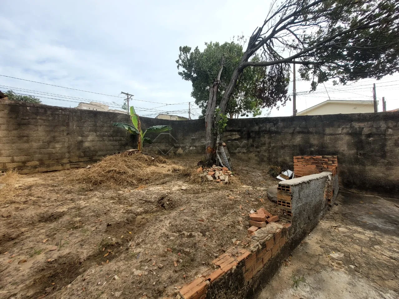 Alugar Casa / Residencial em Americana R$ 1.500,00 - Foto 14