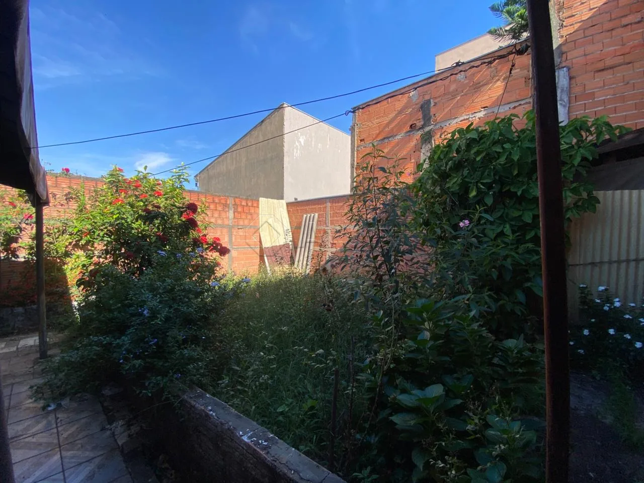 Alugar Casa / Residencial em Americana R$ 2.500,00 - Foto 12