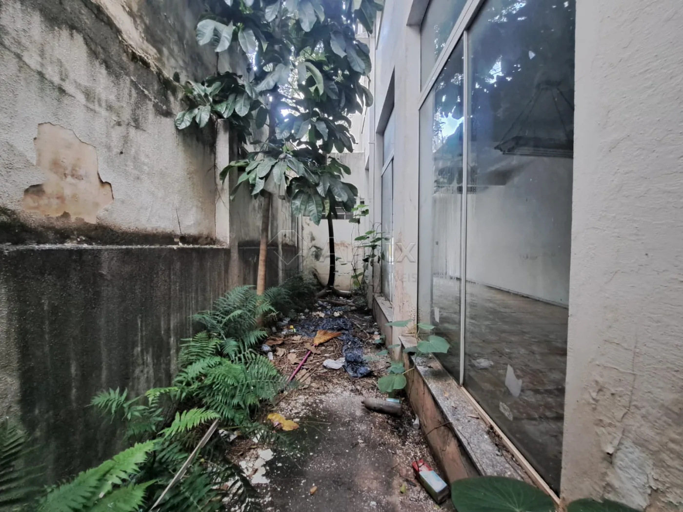 Alugar Comercial / Sal&atilde;o Comercial em Americana R$ 4.200,00 - Foto 5