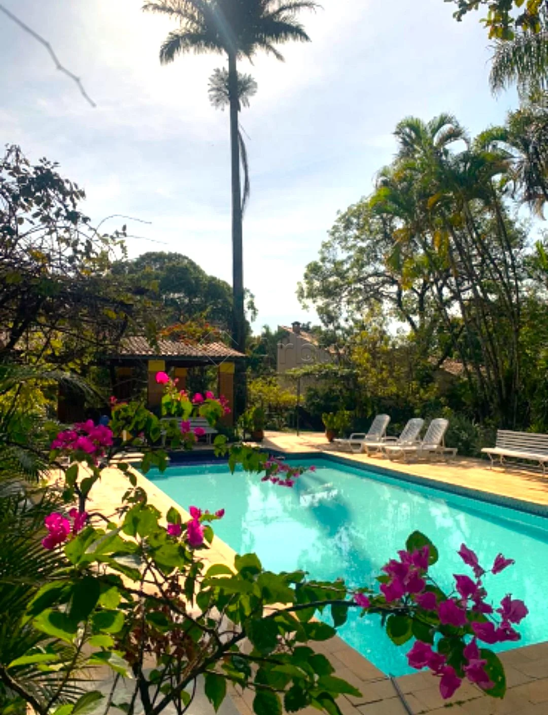 Comprar Rural / Ch&aacute;cara em Americana R$ 1.100.000,00 - Foto 1