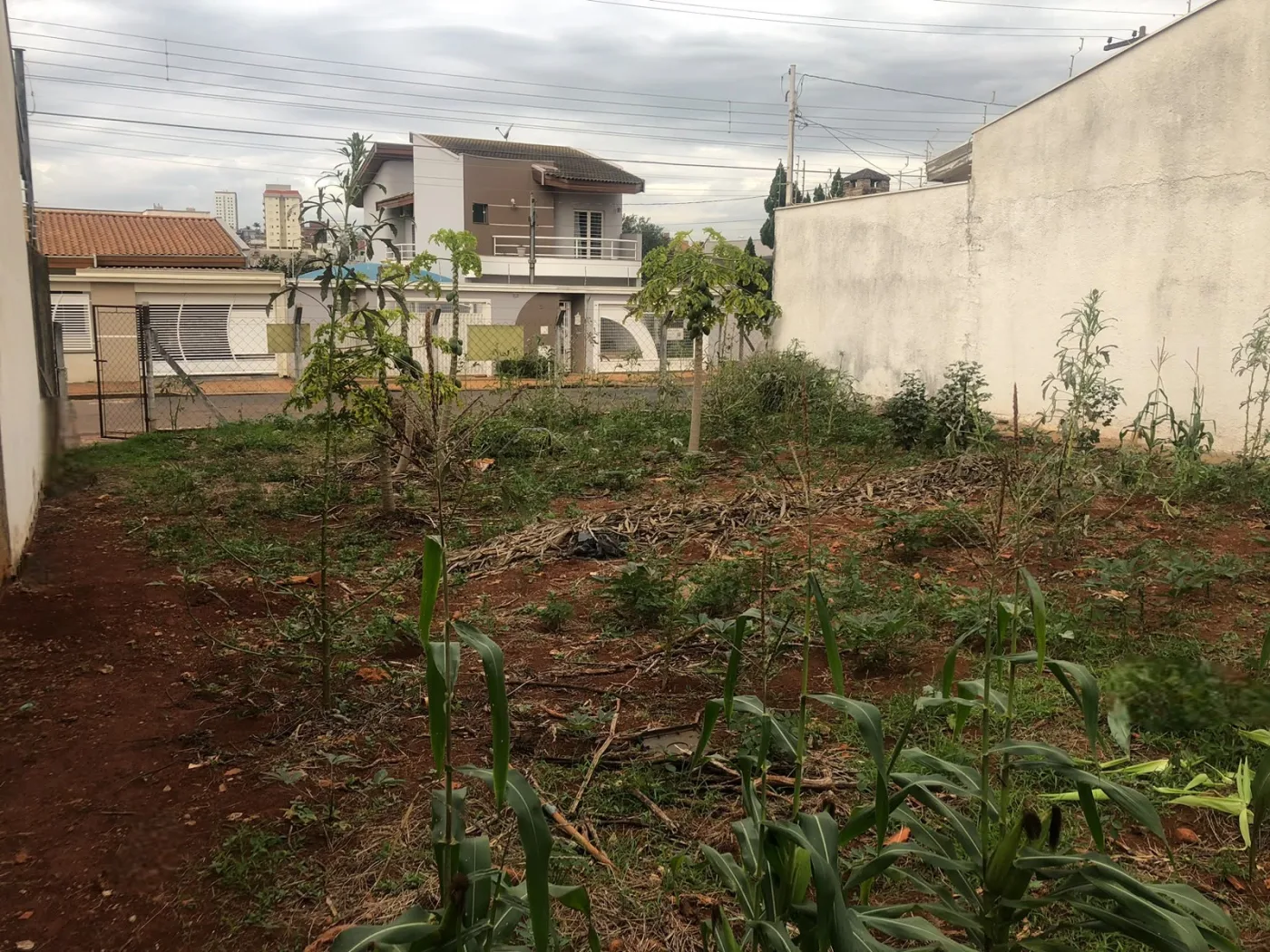 Comprar Terreno / Residencial em Americana R$ 545.000,00 - Foto 4