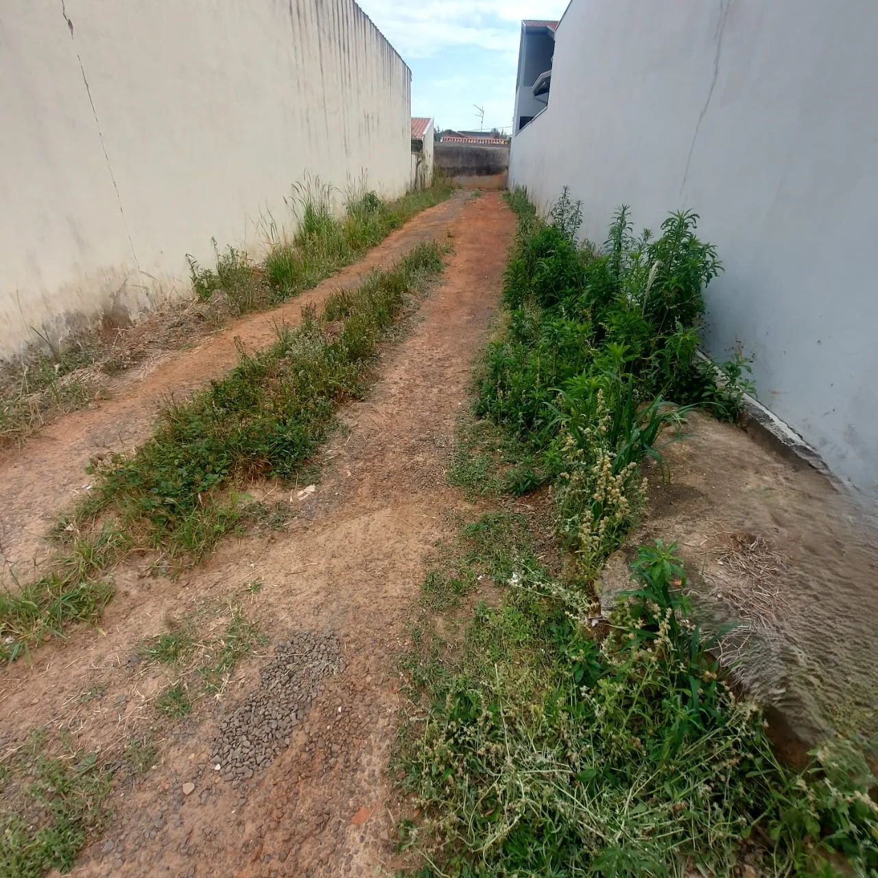 Comprar Terreno / Residencial em Nova Odessa R$ 170.000,00 - Foto 1