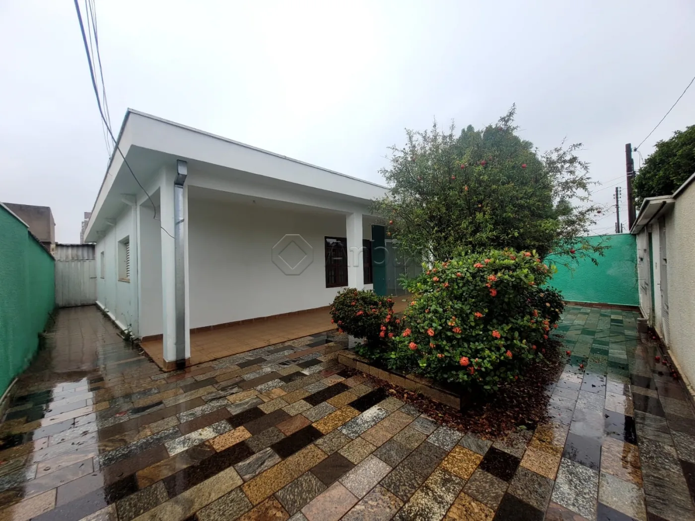 Alugar Casa / Residencial em Americana R$ 3.990,00 - Foto 1