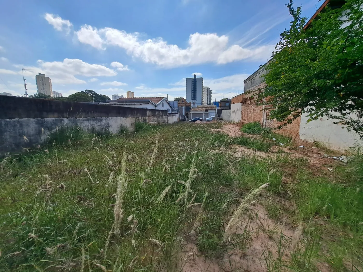 Alugar Terreno / Comercial em Americana R$ 3.000,00 - Foto 8