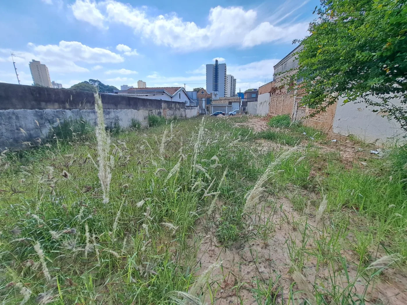 Alugar Terreno / Comercial em Americana R$ 3.000,00 - Foto 20