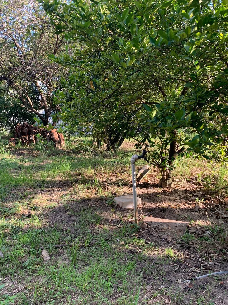 Alugar Casa / Ch&aacute;cara em Limeira R$ 2.500,00 - Foto 6
