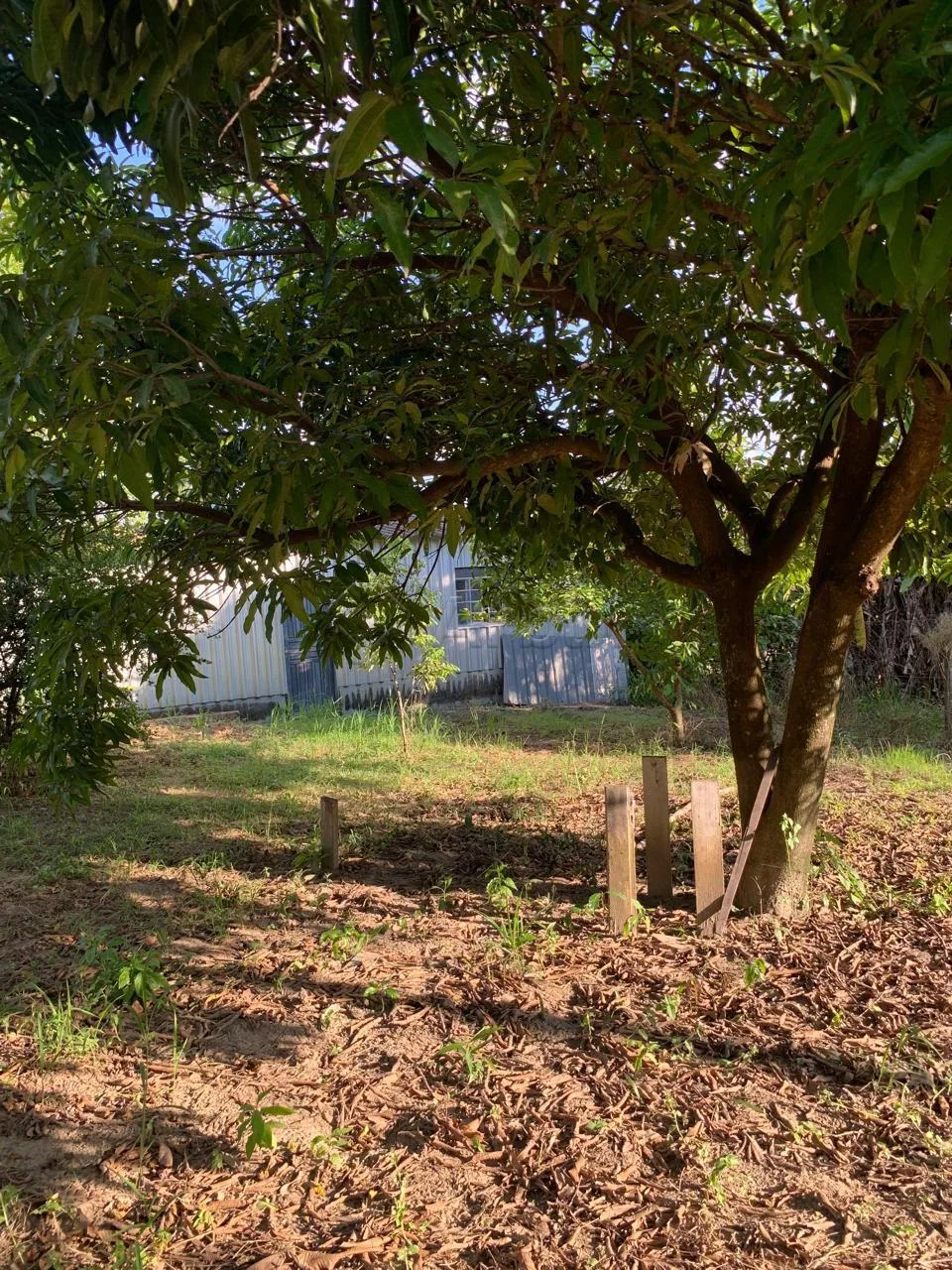 Alugar Casa / Ch&aacute;cara em Limeira R$ 2.500,00 - Foto 12