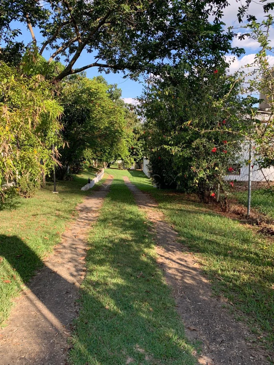 Alugar Casa / Ch&aacute;cara em Limeira R$ 2.500,00 - Foto 14