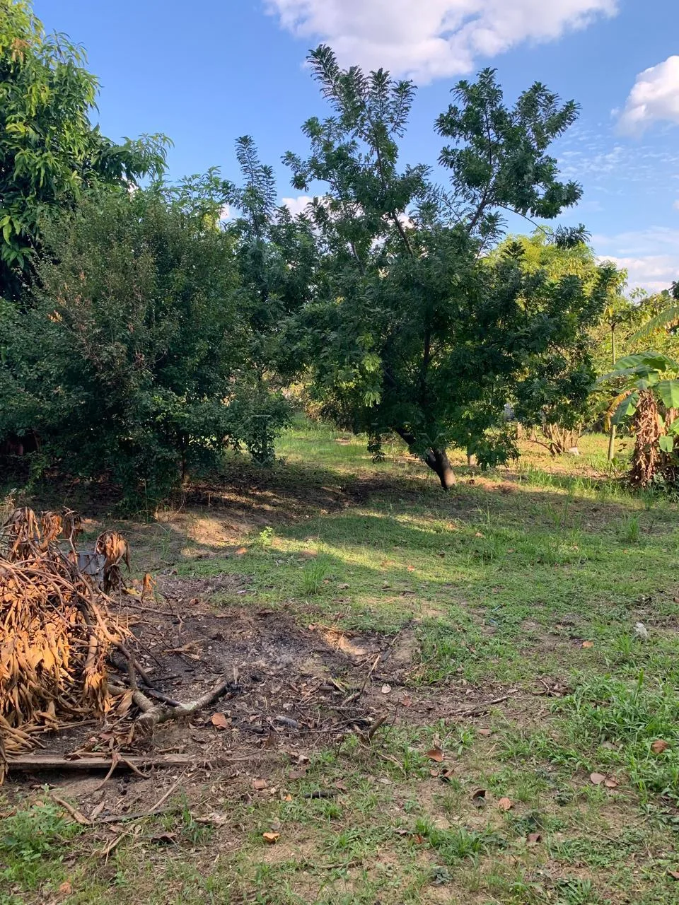 Alugar Casa / Ch&aacute;cara em Limeira R$ 2.500,00 - Foto 21