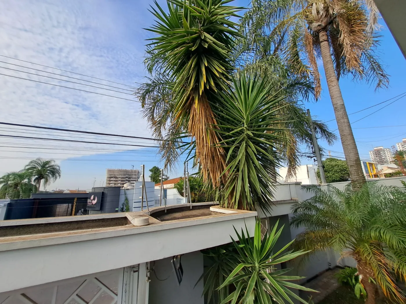 Alugar Casa / Residencial em Americana R$ 5.500,00 - Foto 47