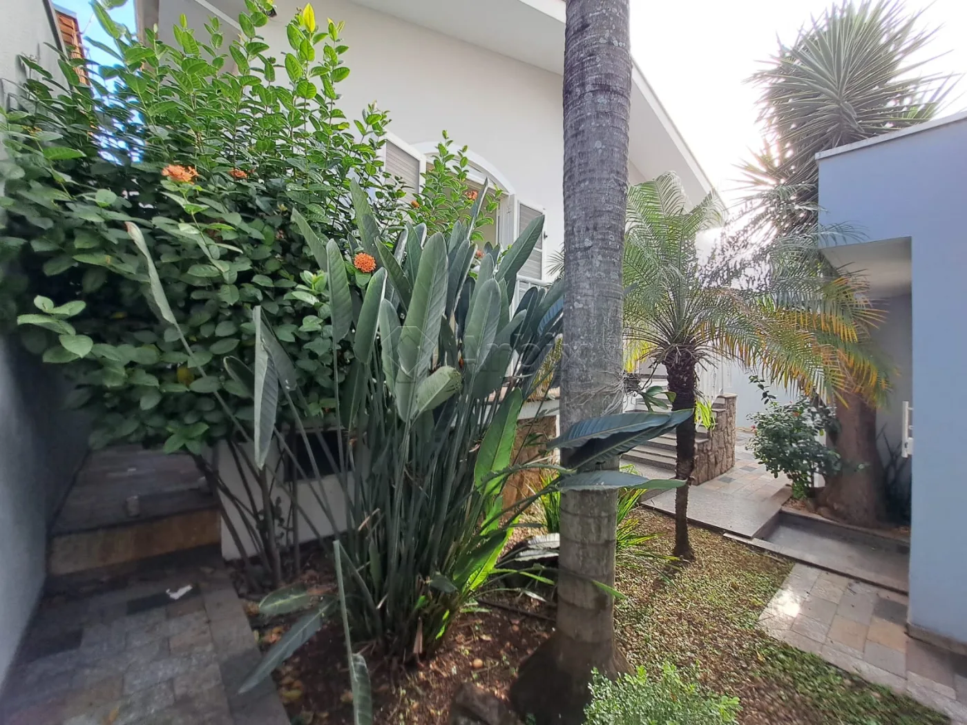 Alugar Casa / Residencial em Americana R$ 5.500,00 - Foto 49