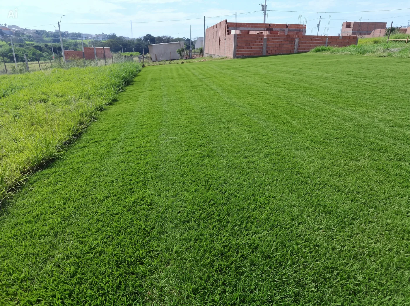 Comprar Terreno / Residencial em Americana R$ 300.000,00 - Foto 3