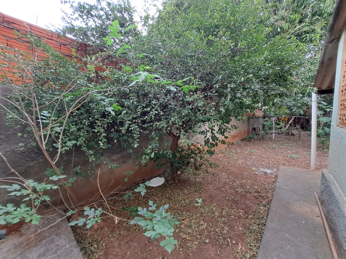 Alugar Casa / Residencial em Americana R$ 1.800,00 - Foto 16