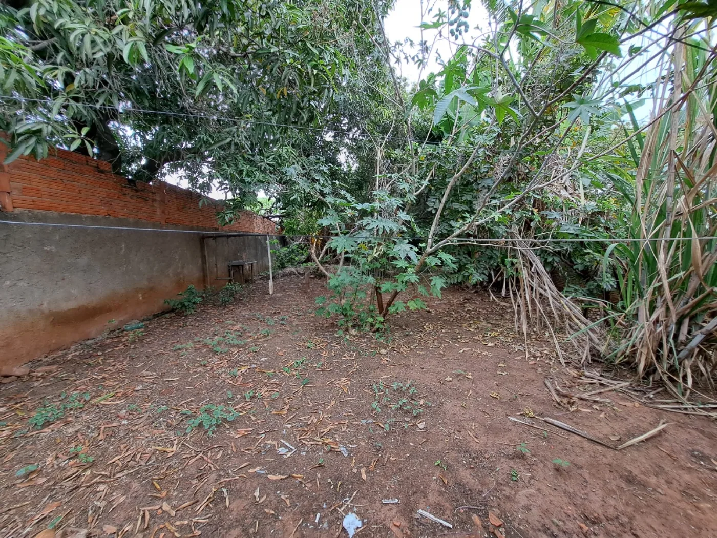 Alugar Casa / Residencial em Americana R$ 1.800,00 - Foto 18