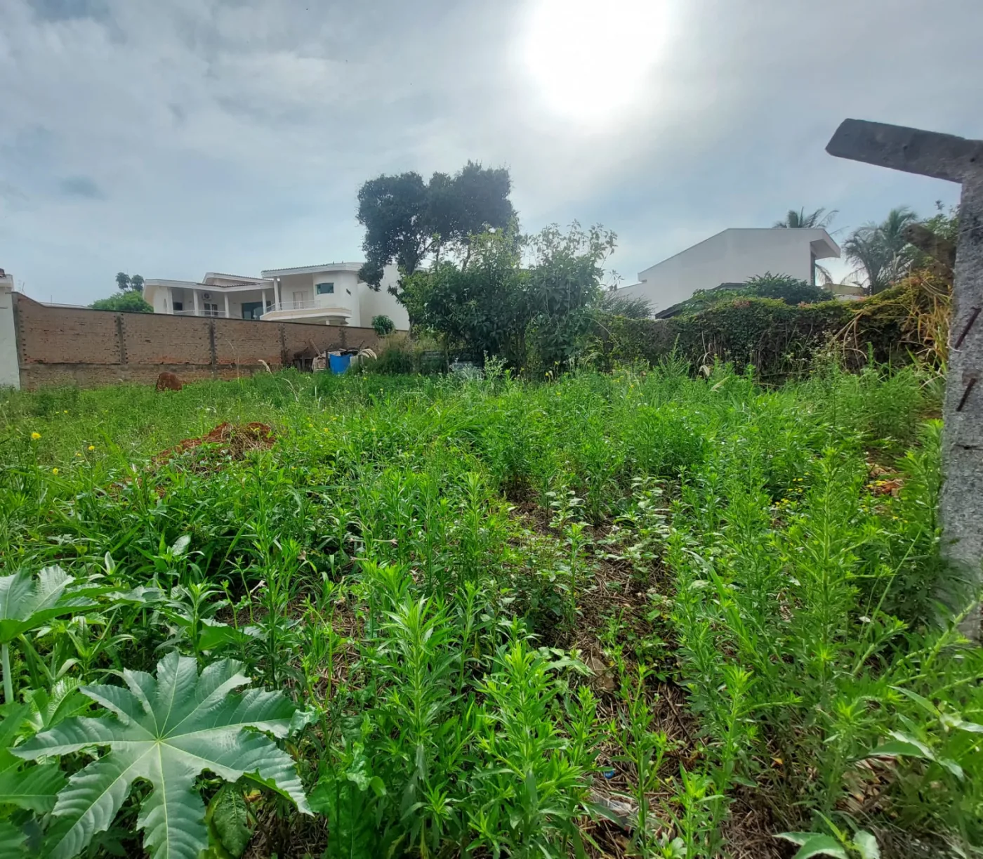 Comprar Terreno / Residencial em Americana R$ 400.000,00 - Foto 3