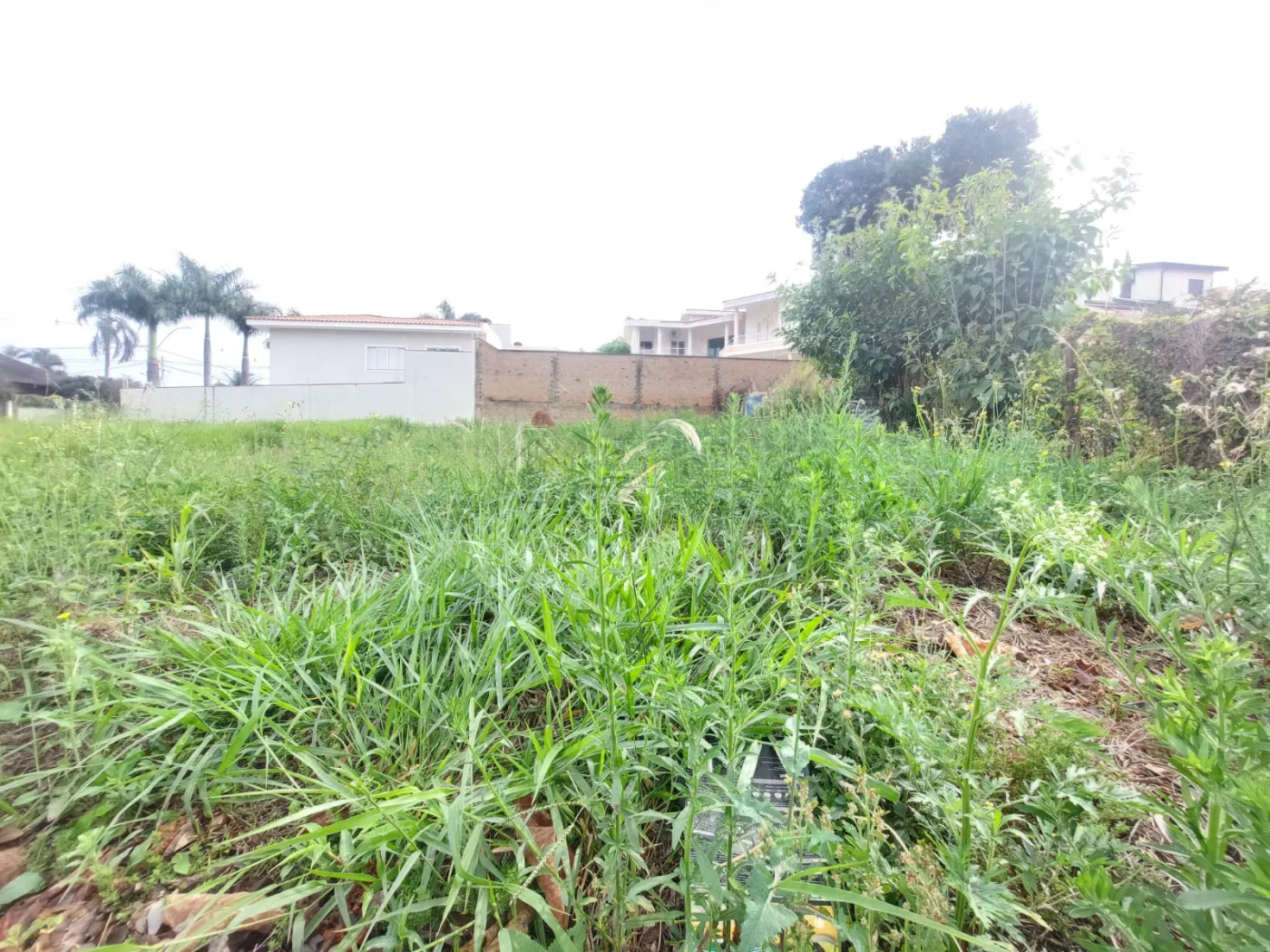 Comprar Terreno / Residencial em Americana R$ 400.000,00 - Foto 4