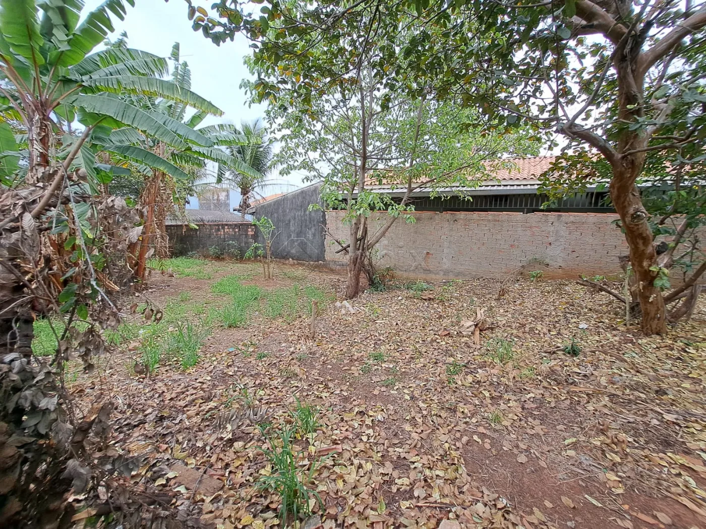 Comprar Terreno / Residencial em Americana R$ 460.000,00 - Foto 5
