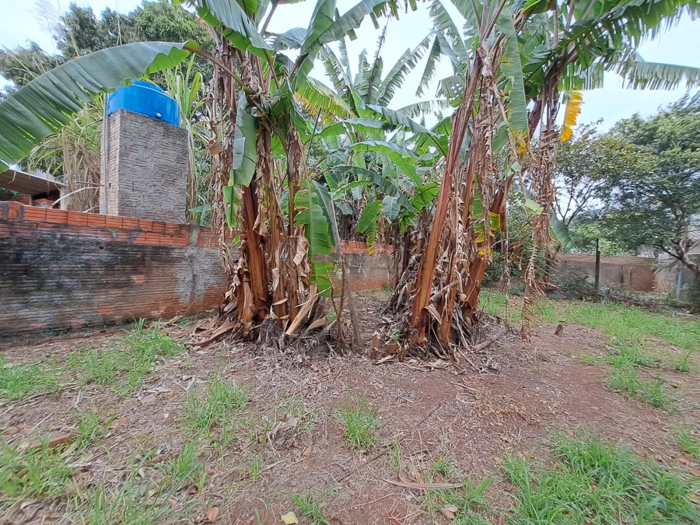 Comprar Terreno / Residencial em Americana R$ 460.000,00 - Foto 7