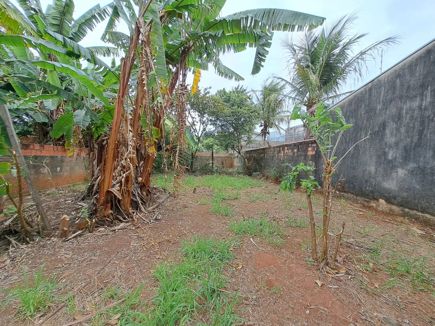 Comprar Terreno / Residencial em Americana R$ 460.000,00 - Foto 8