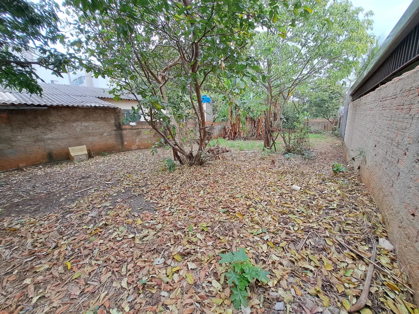 Comprar Terreno / Residencial em Americana R$ 460.000,00 - Foto 10
