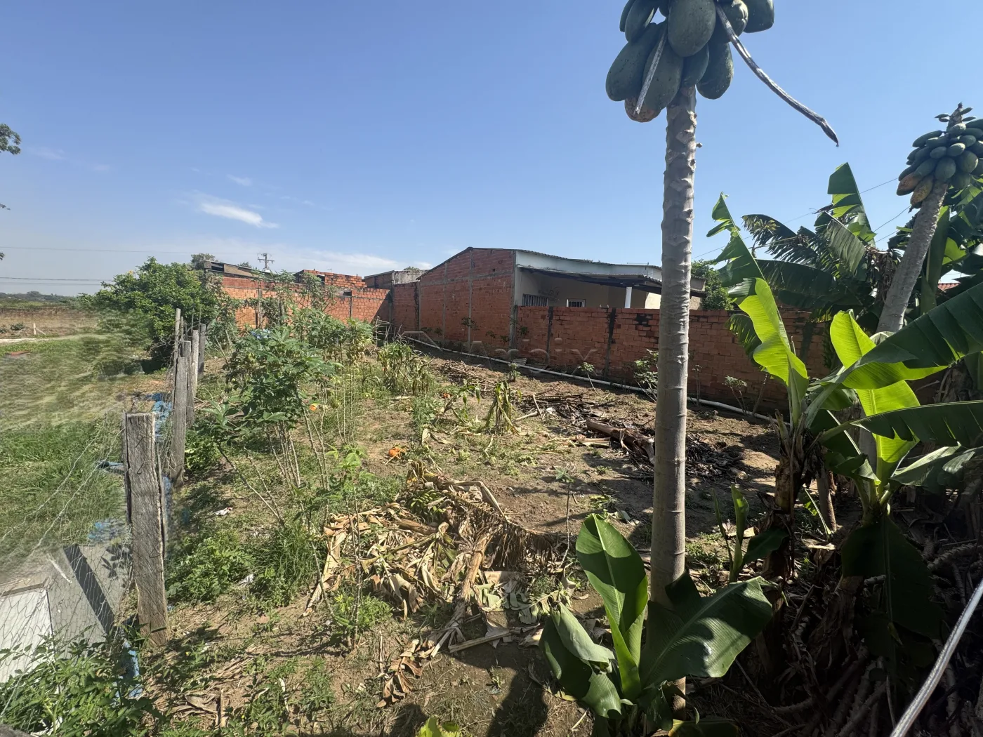Comprar Terreno / Residencial em Americana R$ 150.000,00 - Foto 2