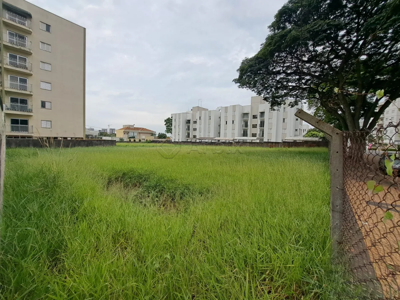 Comprar Terreno / Misto em Americana R$ 3.850.000,00 - Foto 1