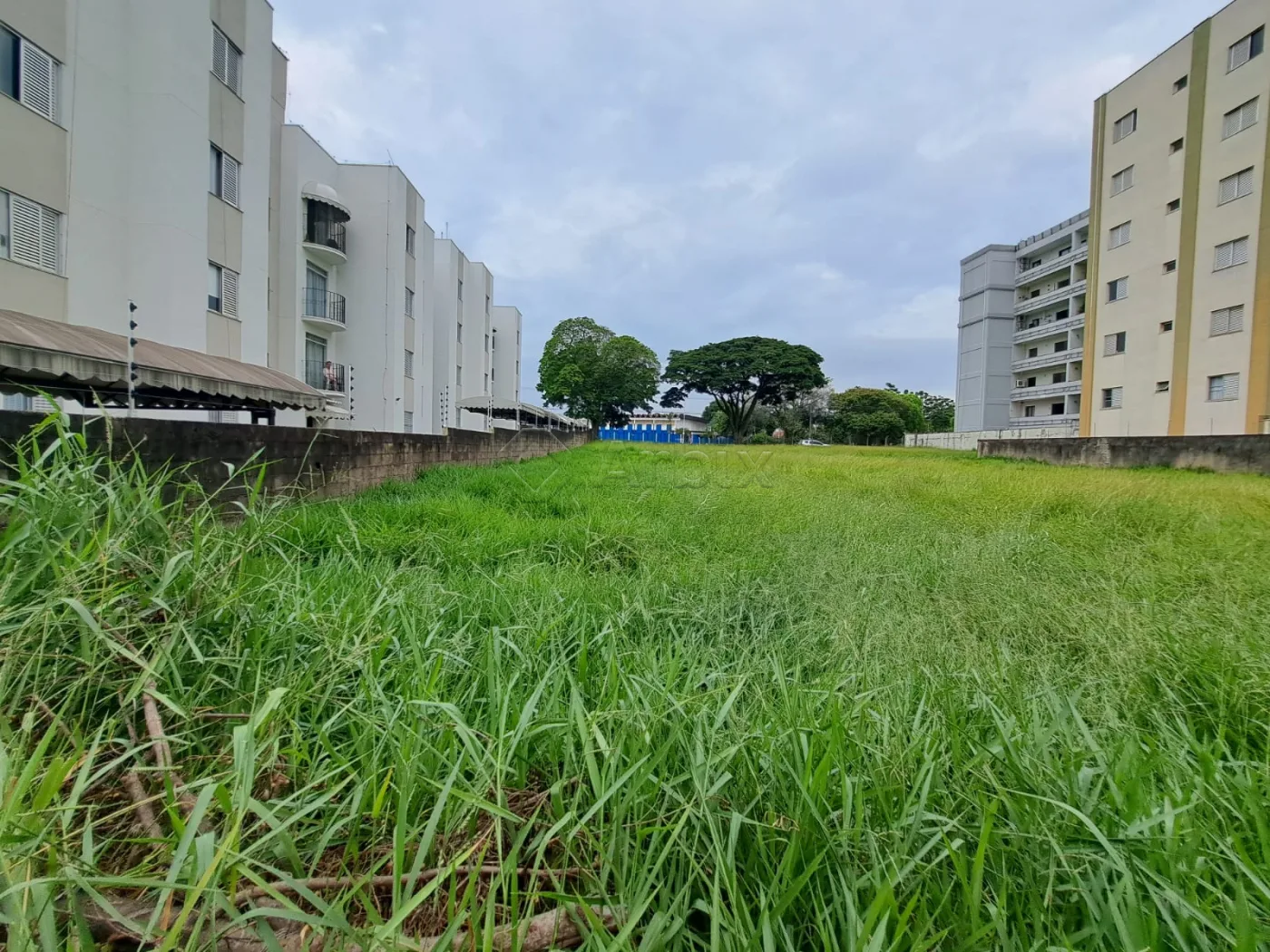 Comprar Terreno / Misto em Americana R$ 3.850.000,00 - Foto 4
