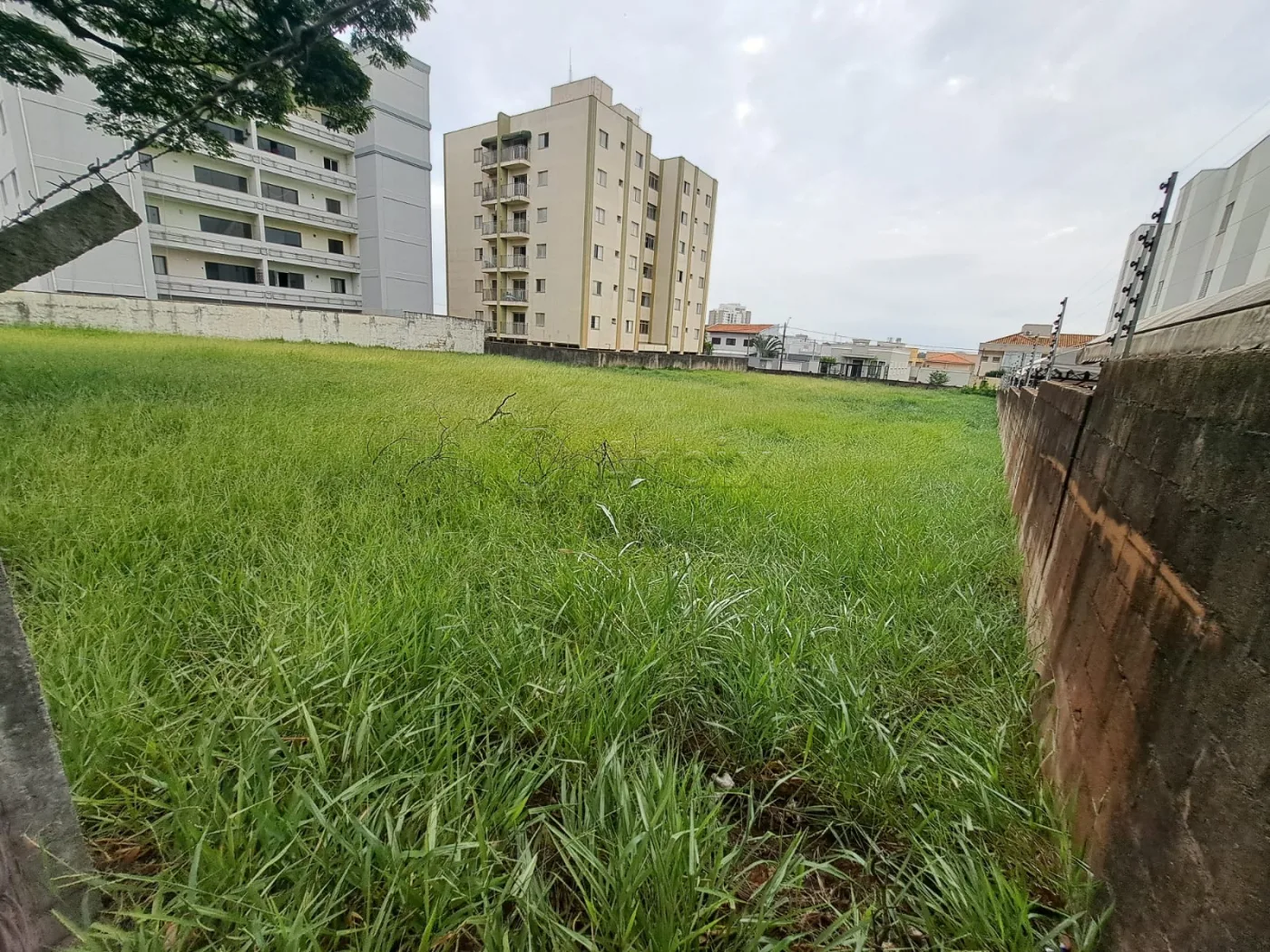 Comprar Terreno / Misto em Americana R$ 3.850.000,00 - Foto 5