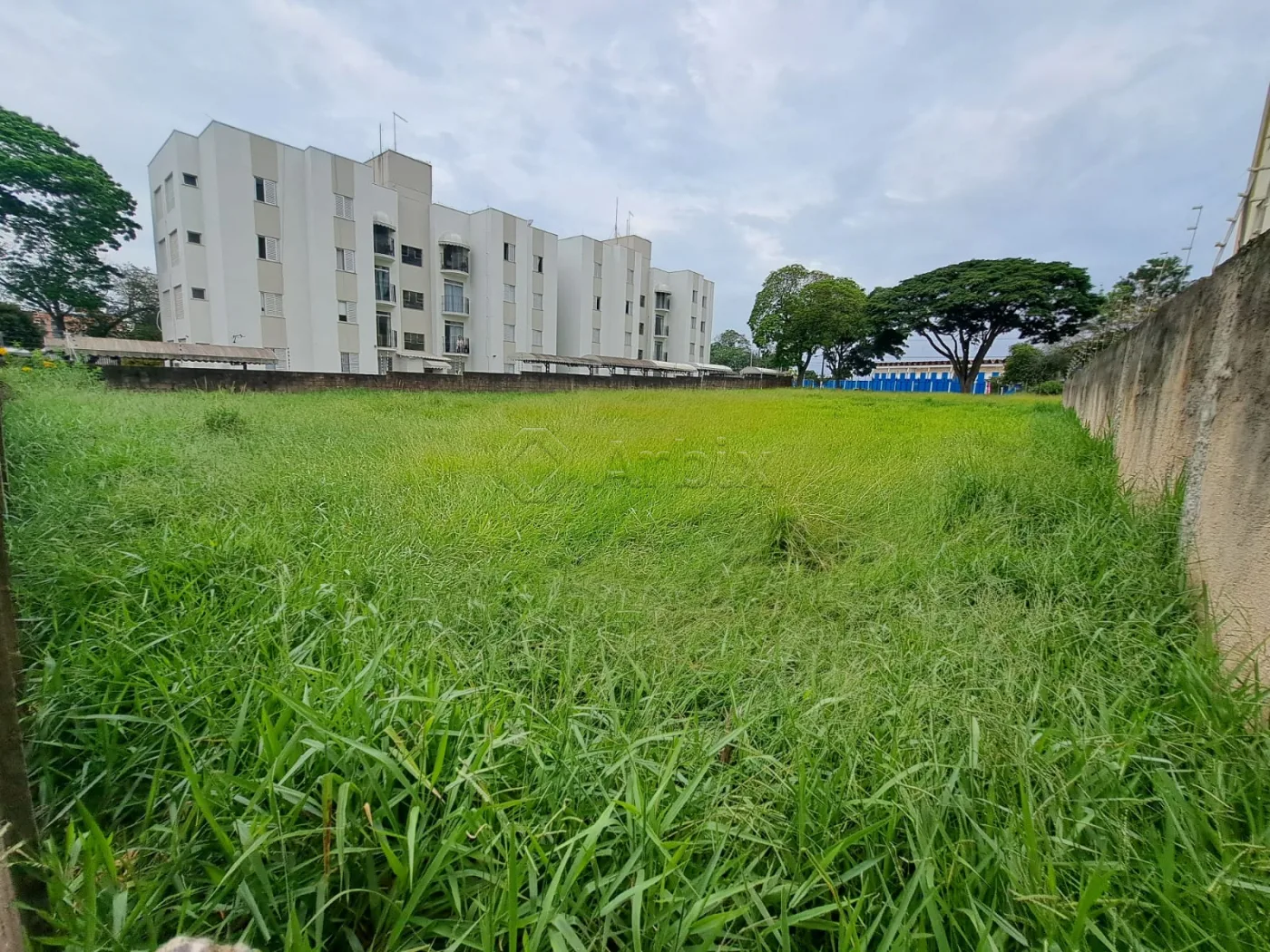 Comprar Terreno / Misto em Americana R$ 3.850.000,00 - Foto 6