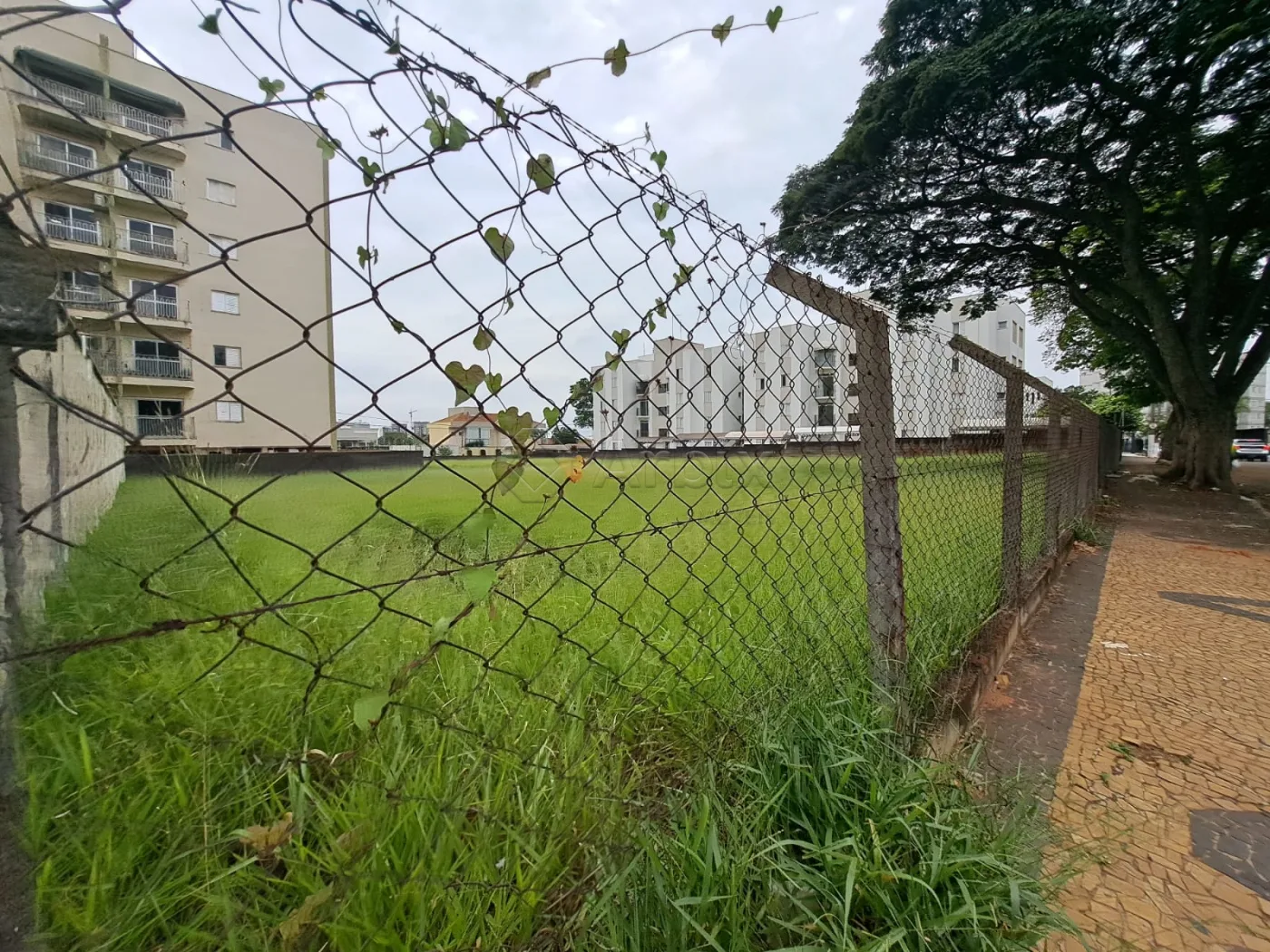 Comprar Terreno / Misto em Americana R$ 3.850.000,00 - Foto 8
